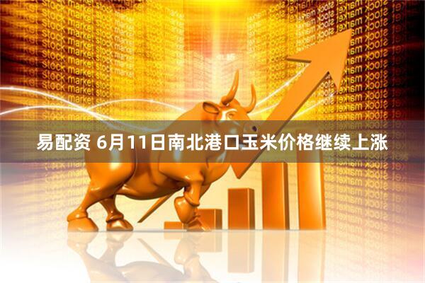 易配资 6月11日南北港口玉米价格继续上涨