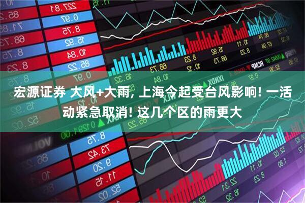 宏源证券 大风+大雨, 上海今起受台风影响! 一活动紧急取消! 这几个区的雨更大