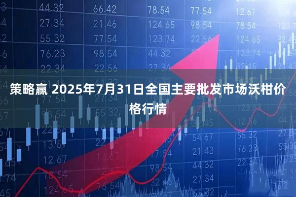 策略赢 2025年7月31日全国主要批发市场沃柑价格行情