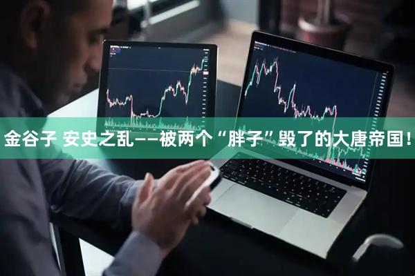 金谷子 安史之乱——被两个“胖子”毁了的大唐帝国！
